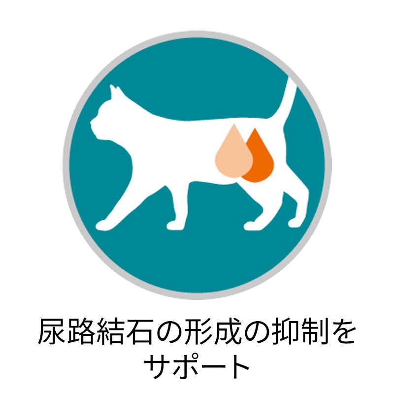 下部尿路の健康維持 F.L.U.T.H.ケア チキン - ピュリナ ワン キャット